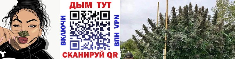 Цена Шимановск ГАШ КОКАИН Псилоцибиновые грибы Меф мяу мяу