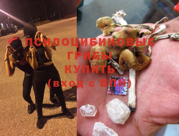 MESCALINE Новозыбков