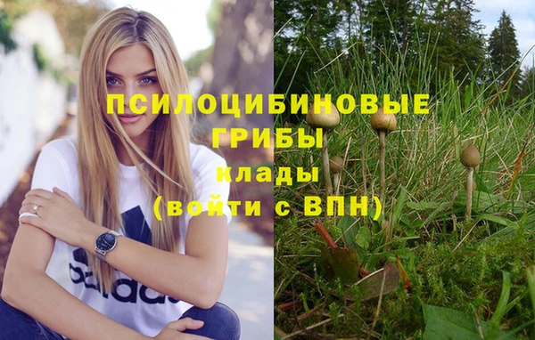 ПСИЛОЦИБИНОВЫЕ ГРИБЫ Новокубанск