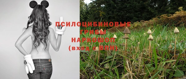 ПСИЛОЦИБИНОВЫЕ ГРИБЫ Новокубанск