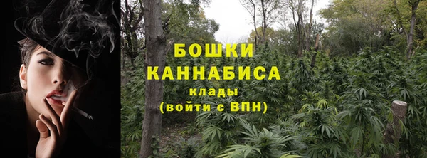 ПСИЛОЦИБИНОВЫЕ ГРИБЫ Новокубанск