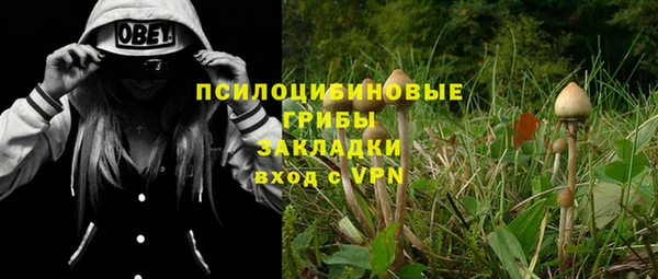 MDMA Новодвинск