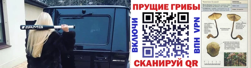 Псилоцибиновые грибы мухоморы  Шимановск 